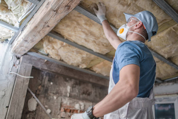 Best Cellulose Insulation in Cross Lanes, WV