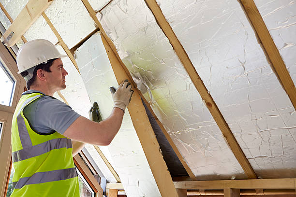 Best Insulation Maintenance and Repair in Cross Lanes, WV